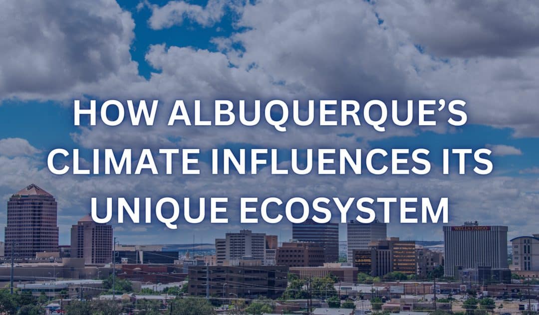 How Albuquerque’s Climate Influences Its Unique Ecosystem