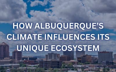 How Albuquerque’s Climate Influences Its Unique Ecosystem