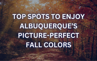 Top Spots to Enjoy Albuquerque’s Picture-Perfect Fall Colors