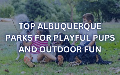 Top Albuquerque Parks for Playful Pups and Outdoor Fun